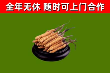 原阳县烟酒回收冬虫夏草.jpg